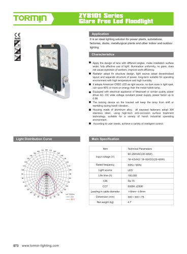 ZY8101 non ex fixed professional light