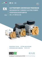 KN_P514 Brass - Regenerative Turbine Electric Pumps