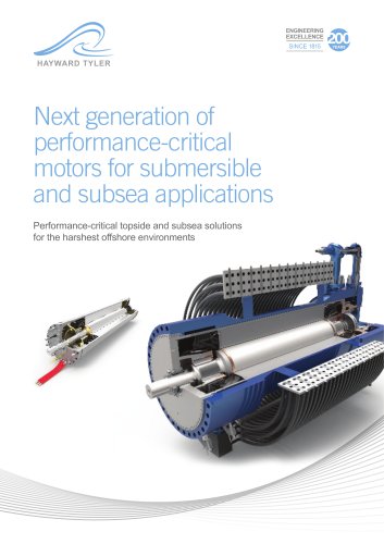 Performance-critical topside and subsea solutions for the harshest offshore environments