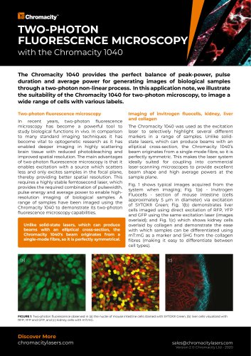 Two Photon Fluorescence Microscopy