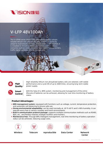 V-LFP 48V100Ah