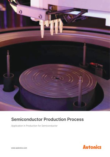 Semiconductor Production Process
