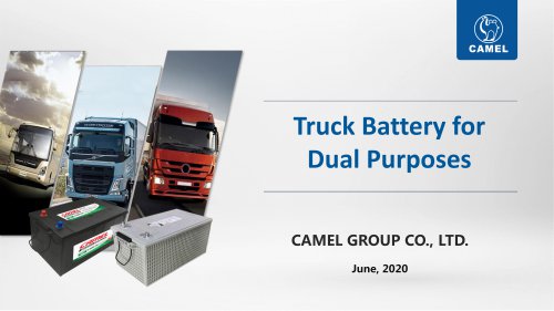 Camel Flooded Truck Battery 6-QWD series