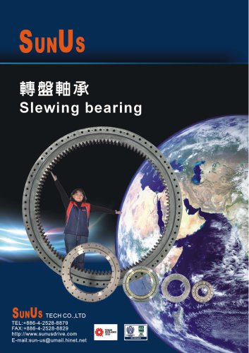 Slewing Bearing