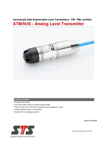 ATM/N/IS Analog Level Transmitter