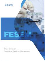 Field emission scanning electron microscope
