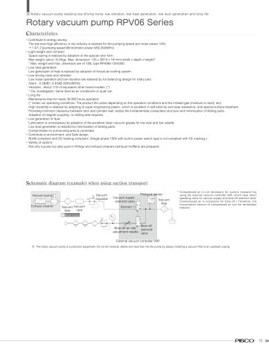 RPV pump