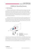 TGF600 Series Thermal Mass Flowmeter