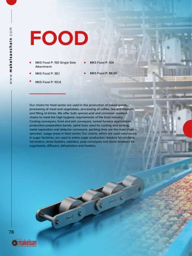 Chains for FOOD INDUSTRY