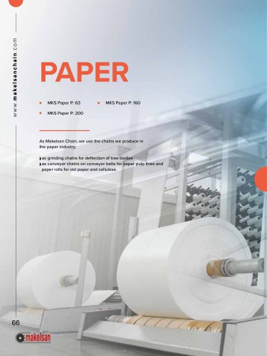 Chains for PAPER INDUSTRY