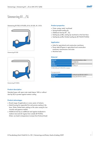 Simmerring B1.../SL