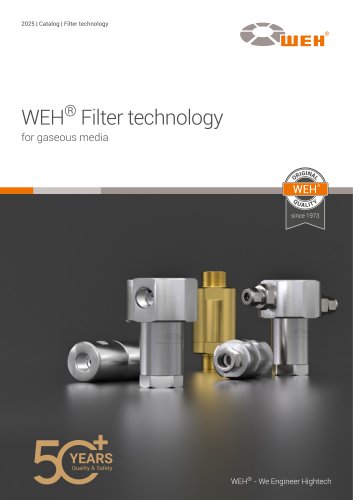 WEH® Filter technology for gaseous media