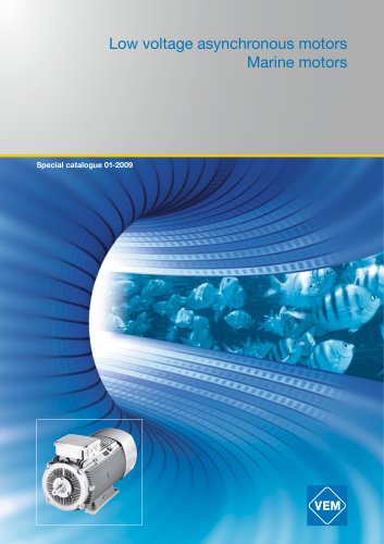 Low voltage asynchronous motors Marine motors