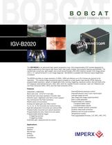 IGV-B2020