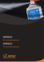 TECHNICAL AEROSOLS FOR WORKSHOP AND MAINTENANCE