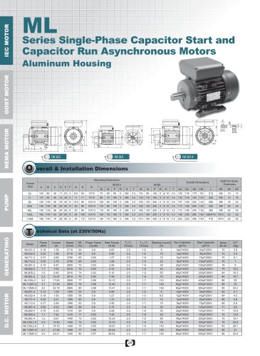 ML-MY(T)-MC-YC Series Single Phase Aluminum Asychronous Motors 