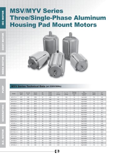 MSV-MYV Series 3-1-Phase Aluminum Pad Mount Motors