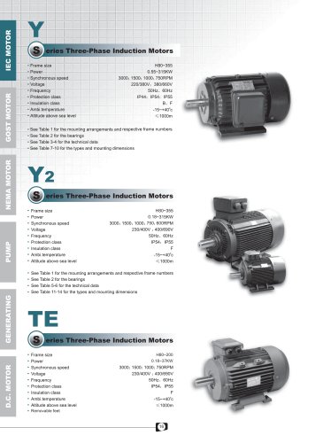 Y-Y2-TE Series 3-Phase Cast Iron Induction Motors