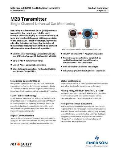 Millennium II BASIC Gas Detector