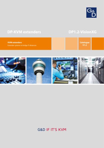 DP1.2-VisionXG