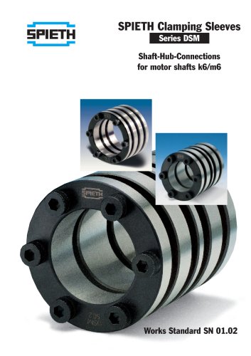 Precision Shaft-Hub-Connection DSM for motor-shaft