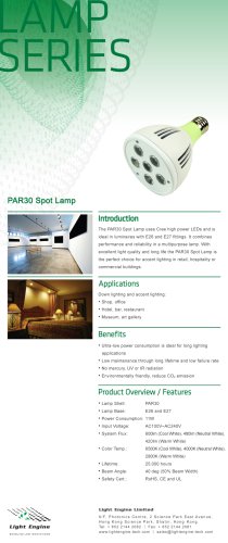  PAR30 Spot Lamp