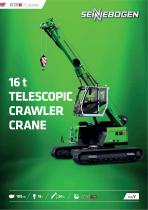Telescopic Crane 613 Crawler
