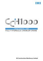 CCH1000-6