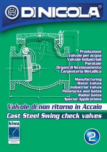 Cast steel swing check valves