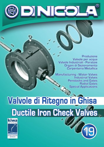 Non return check valves