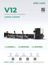 V12