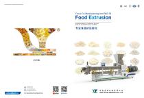 Double-fried snack production line
