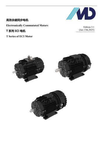 T Series of ECI Motor