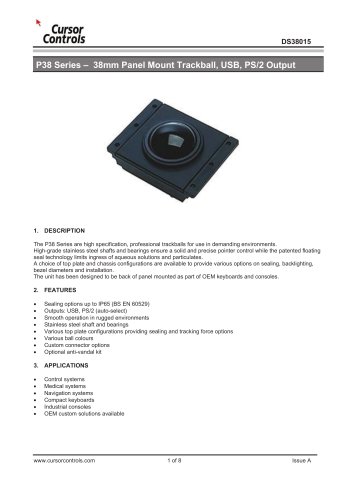 P38 Standard