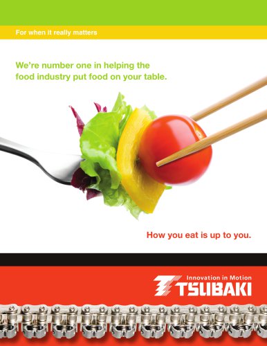 Tsubaki Products for the Food Industry