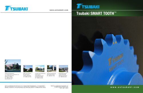 Tsubaki Smart Tooth