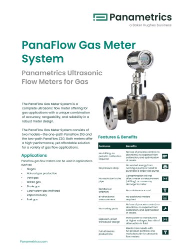 PanaFlow gas meter system Datasheet