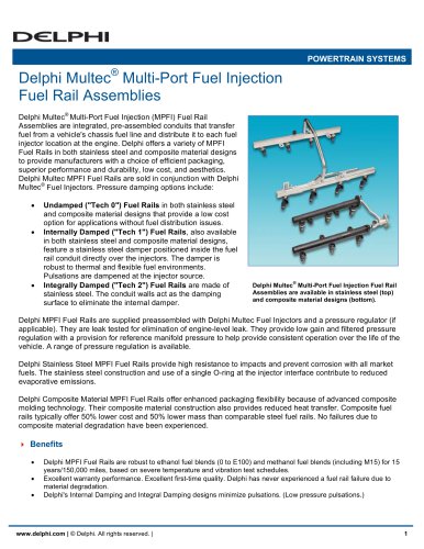 Delphi Multec Multi-Port Fuel Injection Fuel Rail Assemblies