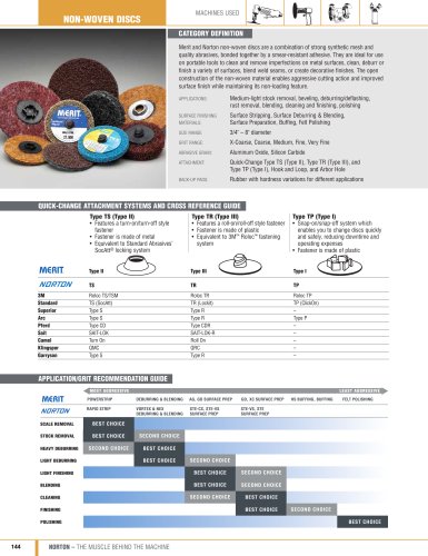 Non-Woven disc 2010