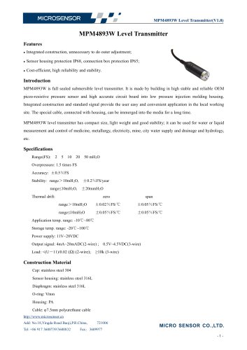 MPM4893W Level Transmitter