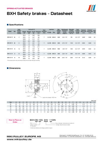 BXH Model datasheet