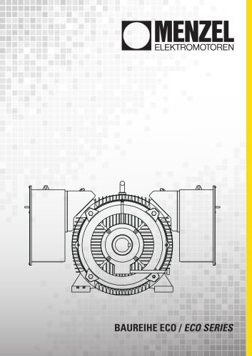 High-Voltage Motors- Eco SERIES