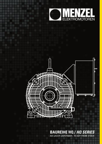 High-Voltage Motors- HQ SERIES