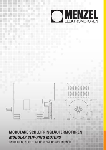 MEBSSL Series - High voltage motors
