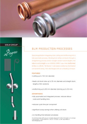 BLM PRODUCTION PROCESSES 