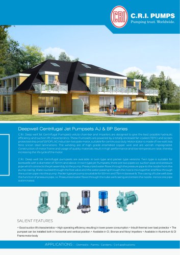 Deep Well Jet Centrifugal Pumps - AJ & BP Series