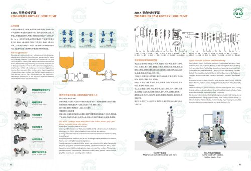 Rotary lobe pump