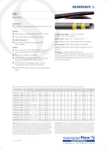 Steam Hose