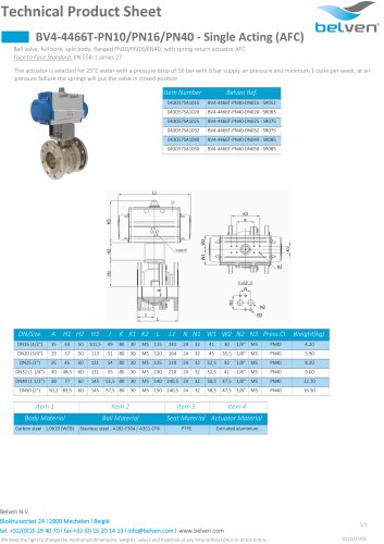 BV4-4466T-PN10/PN16/PN40 - Single Acting (AFC)