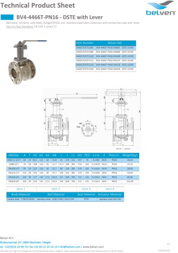 BV4-4466T-PN16 - DSTE with Lever